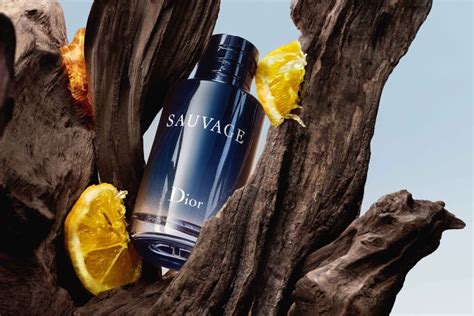 dior sauvage 2017|Dior Sauvage top notes.